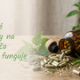 Bylinné doplnky na vlasy: čo naozaj funguje