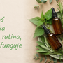 Mastná pokožka hlavy: rutina, ktorá funguje