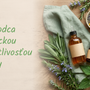 Sprievodca holistickou starostlivosťou o vlasy