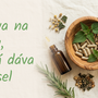 Výživa na vlasy, ktorá dáva zmysel